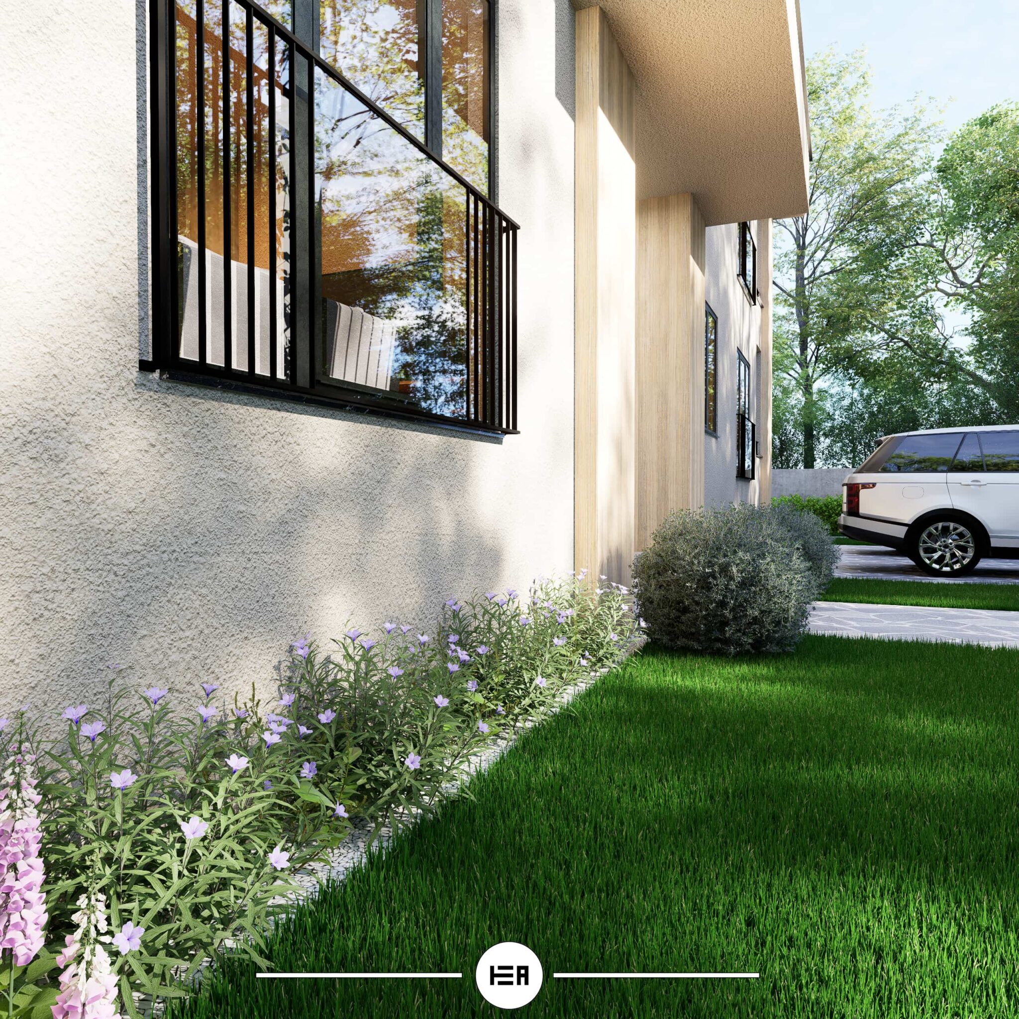 KÖŞE PERSPEKTİF RUELLİA